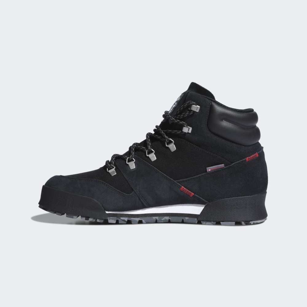 Чоловічі черевики Adidas Terrex Snowpitch FV7957