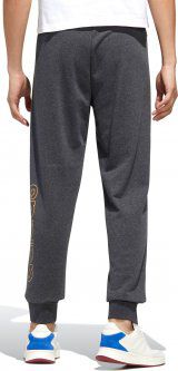 Чоловічі брюки Adidas Essentials FM3446